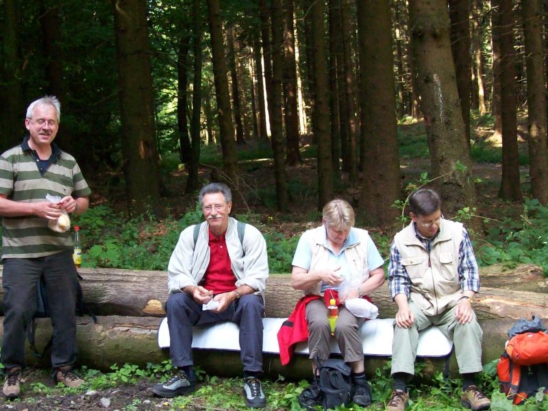 Wanderung Borgholzhausen Hilter 21.06.2008.jpg