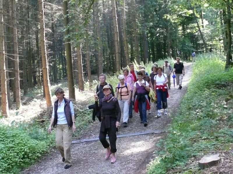 Wanderung Borgholzhausen Hilter 21.06.2008 9.jpg