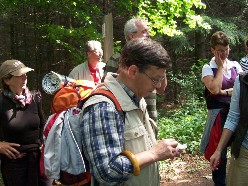 Wanderung Borgholzhausen Hilter 21.06.2008 6.jpg