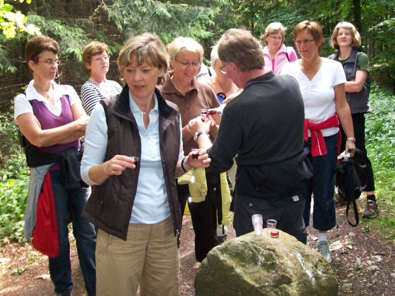 Wanderung Borgholzhausen Hilter 21.06.2008 5.jpg